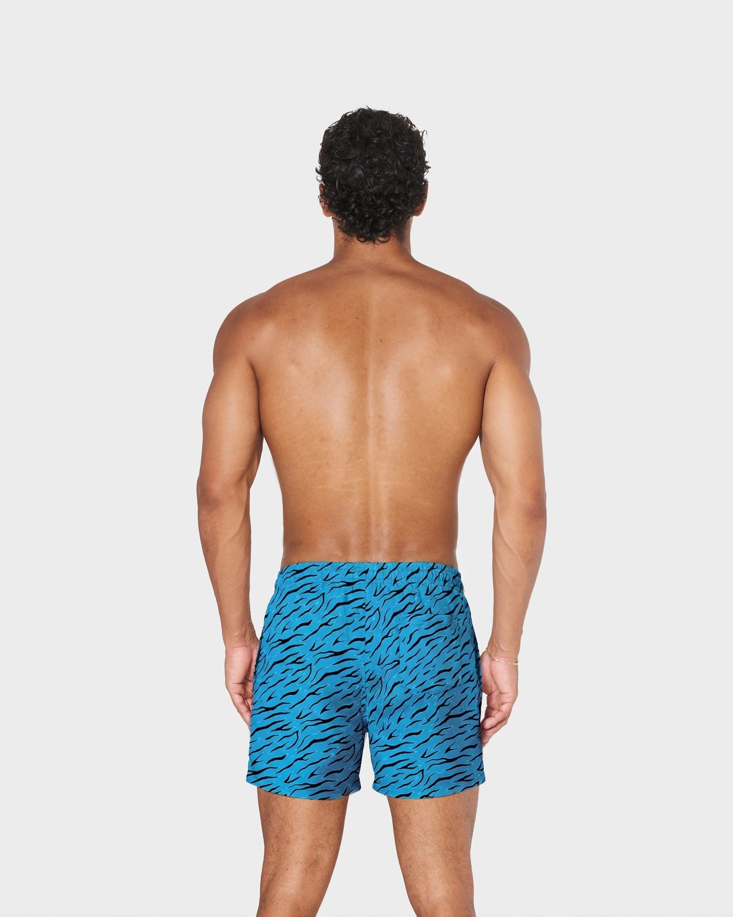 AQUA TIGER
