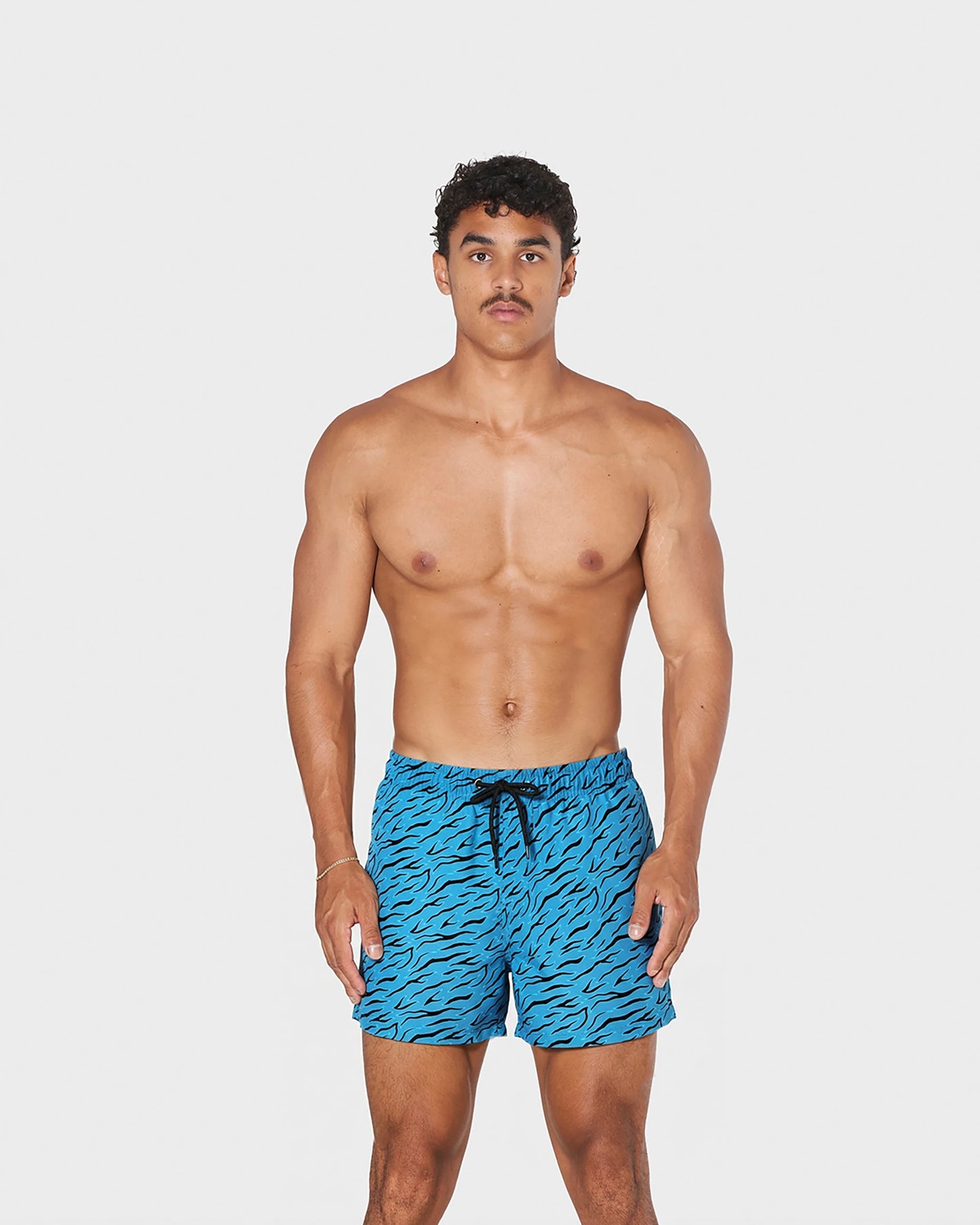 AQUA TIGER