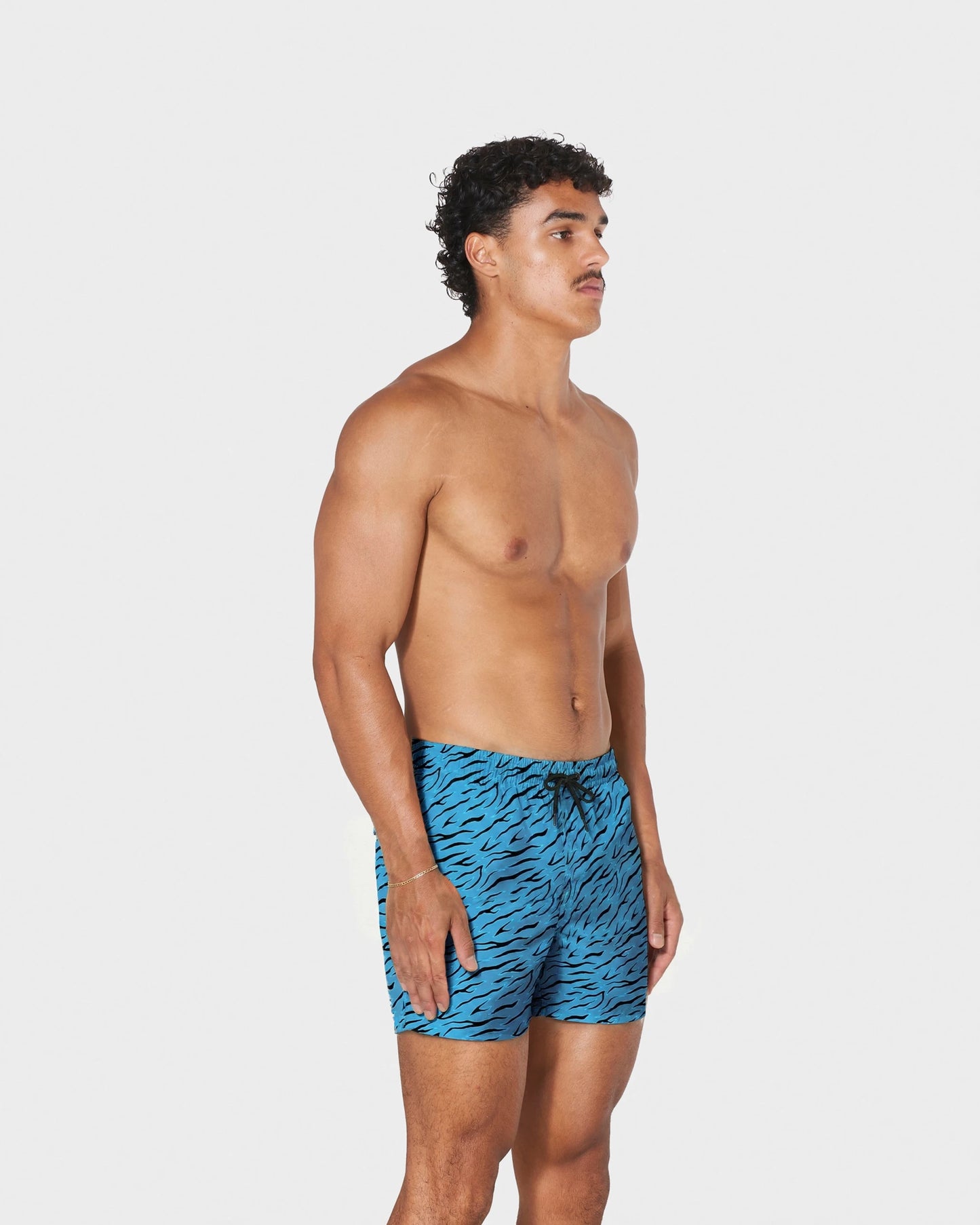 AQUA TIGER